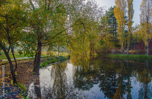 autumn park with lake and trees