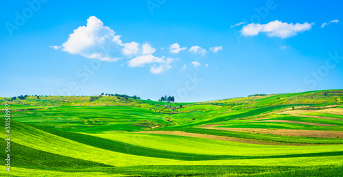 Фотография Apulia countryside view rolling hills landscape
