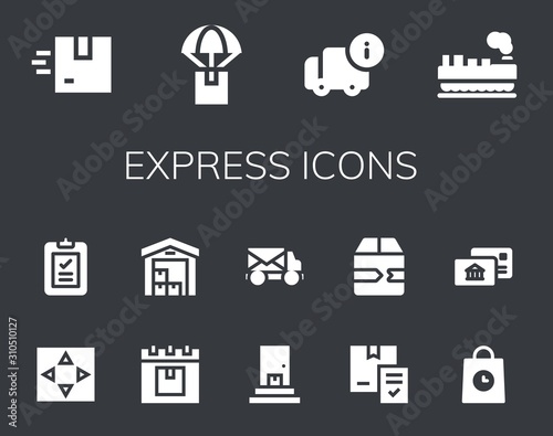 express icon set