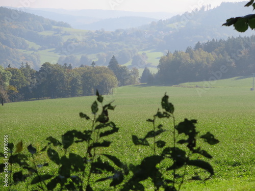 Thüringer Wald photo