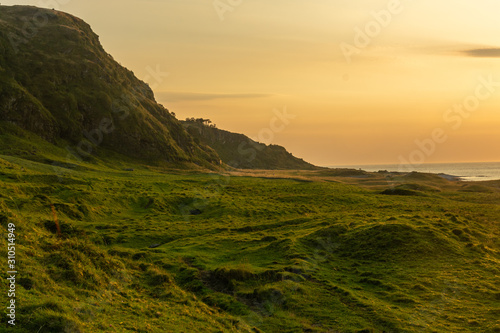 A rural field of grass and beach bathed in warm light from an upcoming sunset