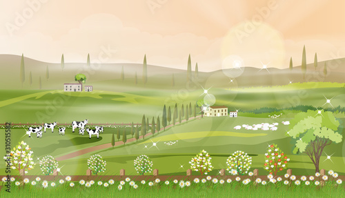 Rural farm landscape with green fields and barn animals cow, goats, sheep and windmills on hill with blue sky and clouds, Vector cartoon Spring or Summer landscape,Eco village or Organic farming in uk