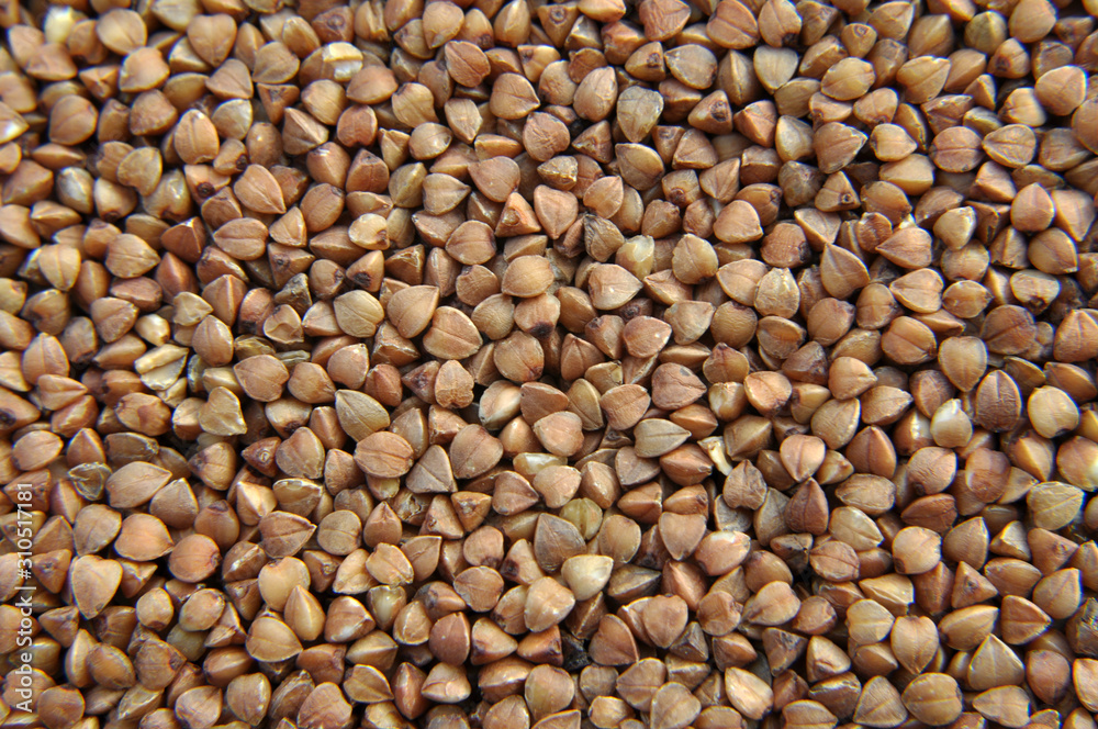 Background of dried buckwheat. Background of dried buckwheat.