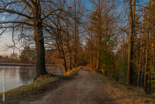 Path near Rouda and Olesnicky novy pond in sunset time in winter evening © luzkovyvagon.cz