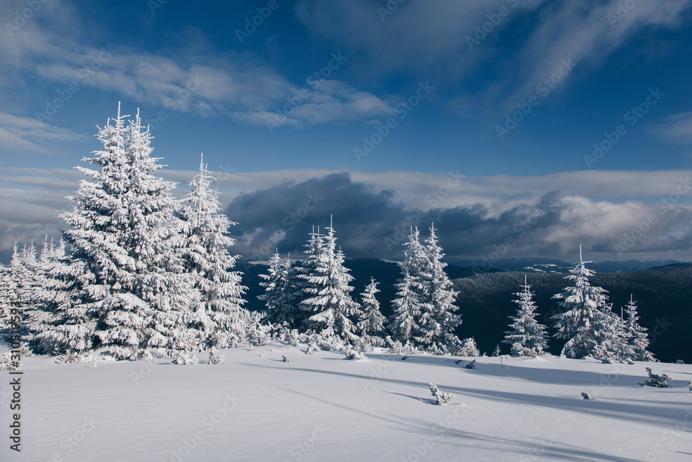 Fototapeta premium Beautiful winter nature landscape, amazing mountain view. Scenic image of woodland. Frosty day on ski resort. Location Carpathian, Ukraine. Superb winter wallpapers. Explore the beauty of earth
