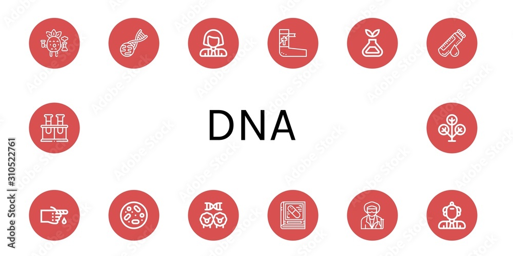 Set of dna icons Set of dna icons