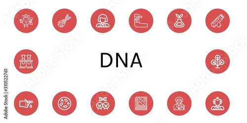 Set of dna icons