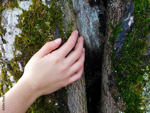 Petite main d'enfant sur tronc d'arbre pour souhaiter la protection de la nature © Cmagraphiste