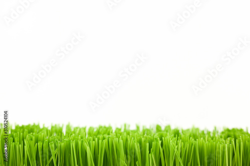 Christmas wheat, grass isolated on white background.