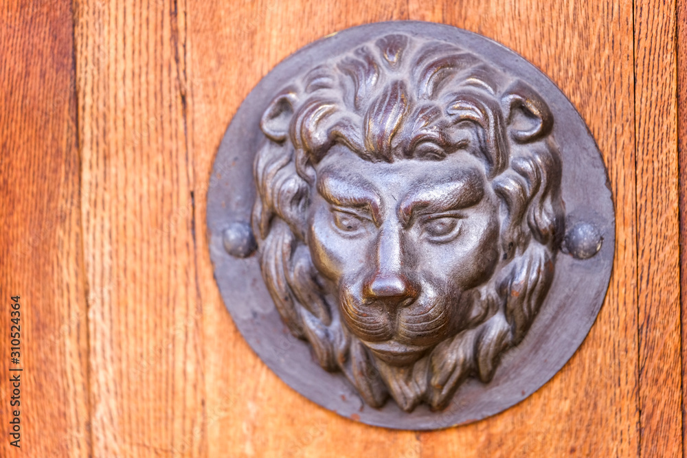image of a lion's head on the front door
