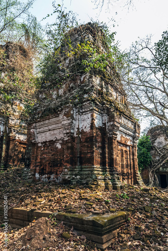 Wooden Roots of big trees Prasat Pram Temple ruins Koh Ker Cambodia