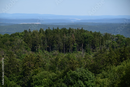 The Black Forest is a mountainous region in southwest Germany, 