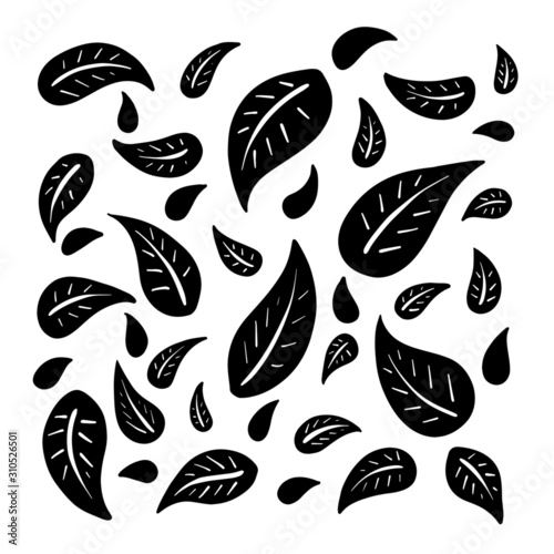 Line Art Simple Vector Leaves or Feather Collection for Logos or Borders