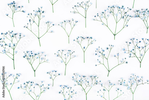 Beautiful flower background of blue gypsophila flowers. Flat lay, top view. Floral pattern.