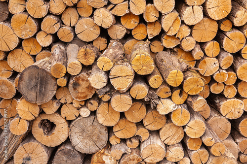 Dry oak firewood stacked in a pile  not chopped whole wood for winter heating fireplace. Natural wood background.
