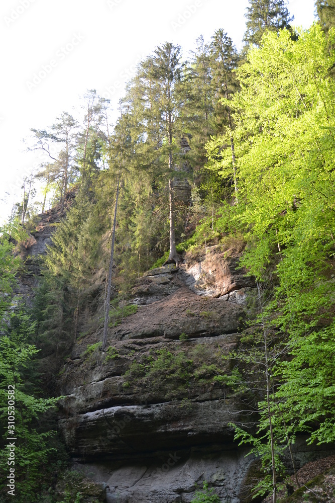 Fototapeta premium Walk along the mountain forest river