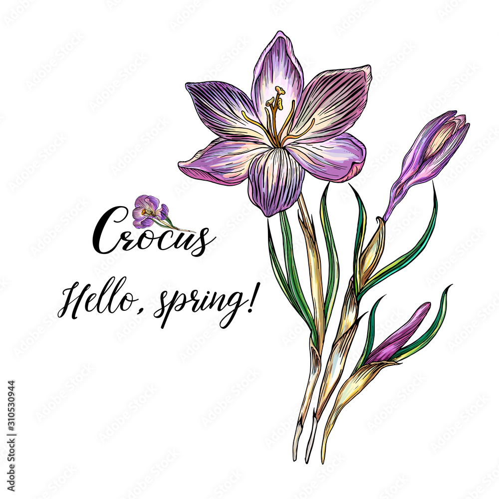 Bright colored round garland from the flowers of the Crocus.