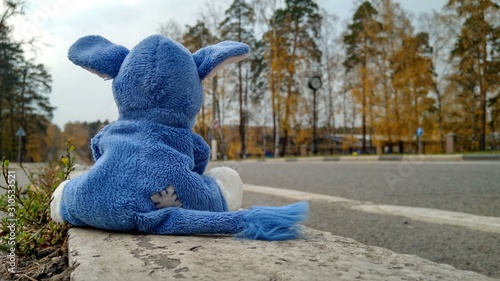Plush toy in the park