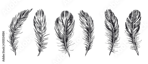 Feathers set. Hand drawn on white background.
