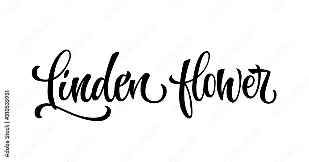 Linden flower - hand drawn spice label.