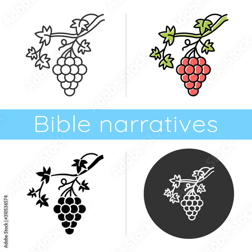 Grapevine icon. Brush of grapes on branch. Viticulture, winemaking. Symbol of wealth, abundance, prosperity and fertility. Flat design, linear and color styles. Isolated vector illustrations