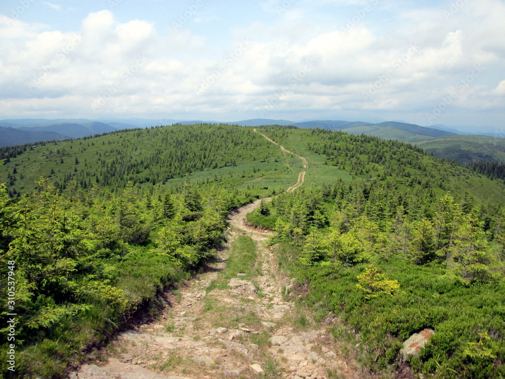 Road in the mountains