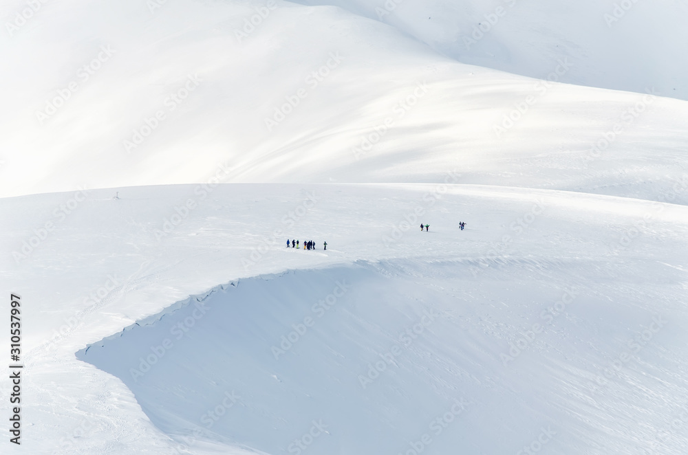 A group of skiers are preparing for a free ride in the Carpathian Mountains