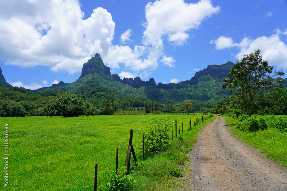 Green landscape view on the island of Moorea near Tahiti in French Polynesia, South Pacific