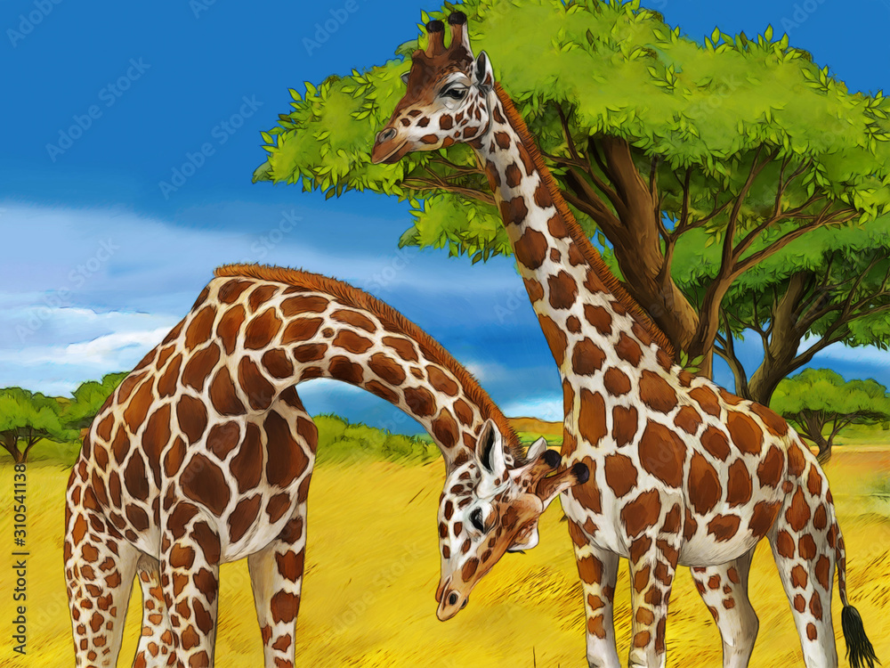Obraz premium cartoon safari scene with giraffes family eating on the meadow - illustration for children