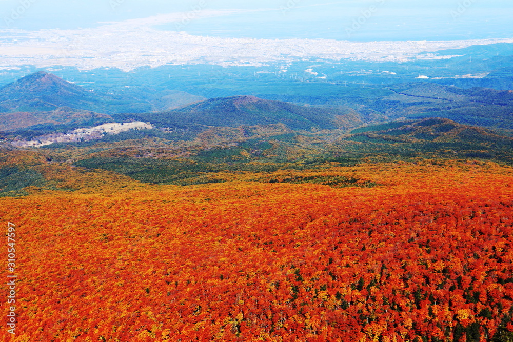 八甲田山の秋 目に染みる紅葉 八甲田山の秋 目に染みる紅葉