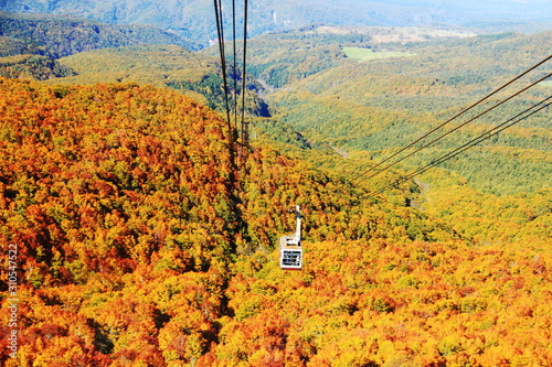 八甲田山の秋　ロープウェイと目に染みる紅葉