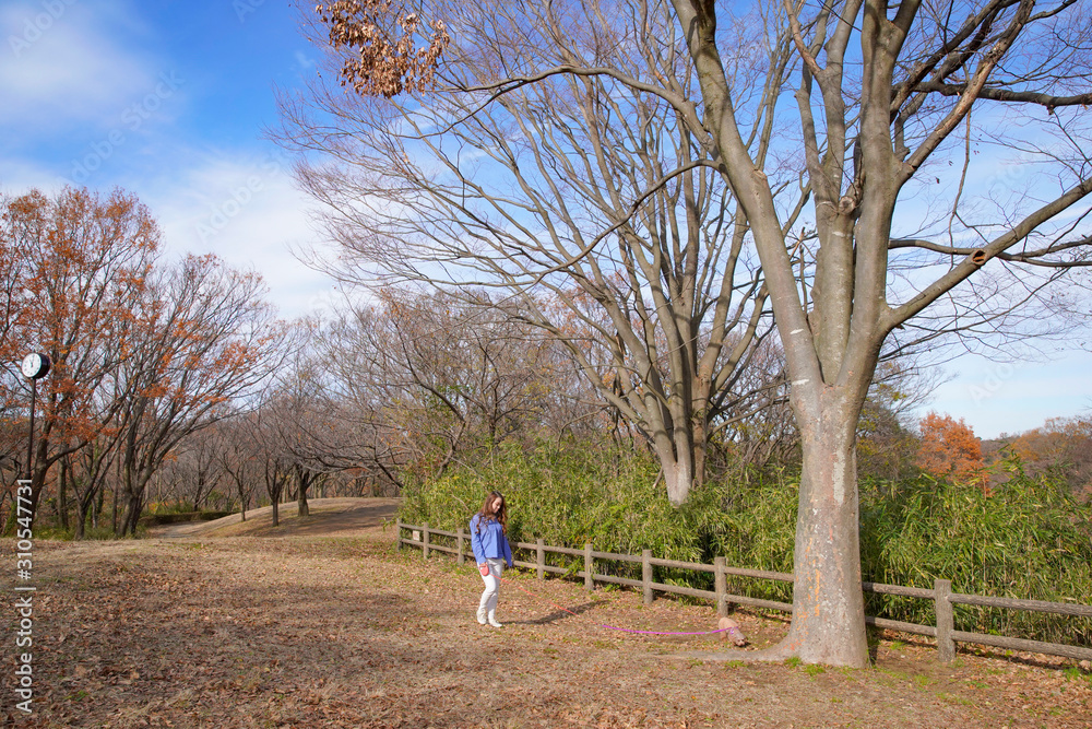 ペットと公園を散歩する女性