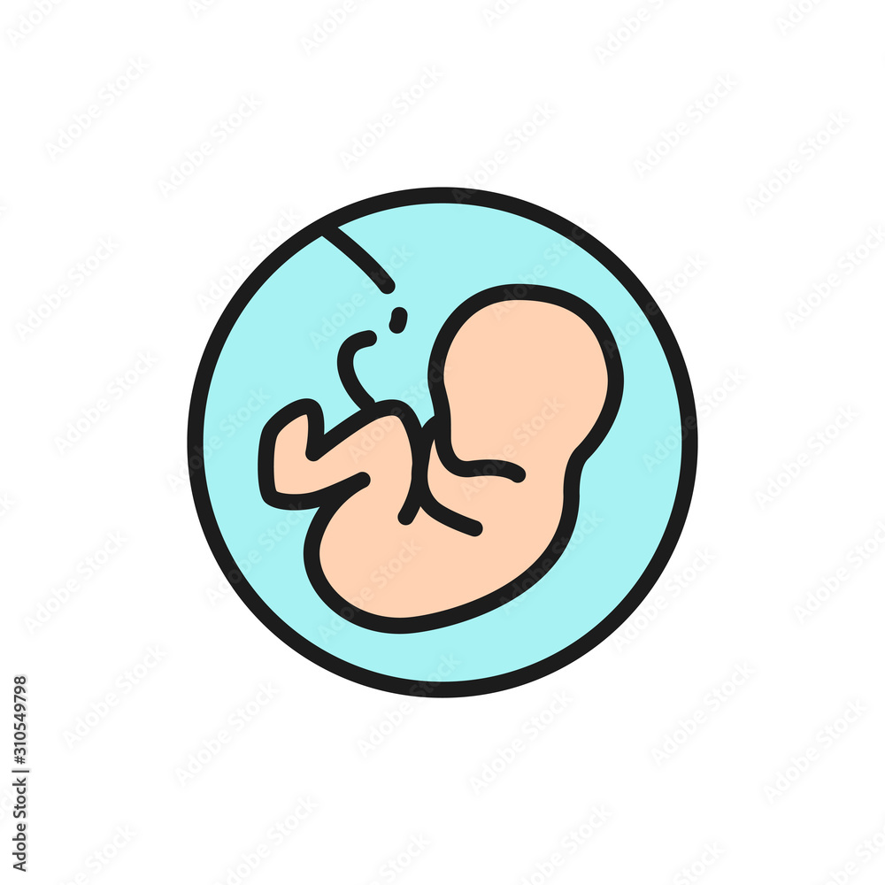 Baby in the womb, embryo, human fetus flat color line icon. Baby in the womb, embryo, human fetus flat color line icon.