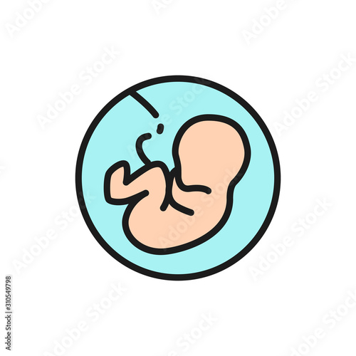 Baby in the womb, embryo, human fetus flat color line icon.