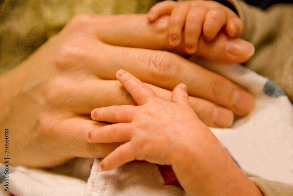 Premature baby hands on adult hands Premature baby hands on adult hands