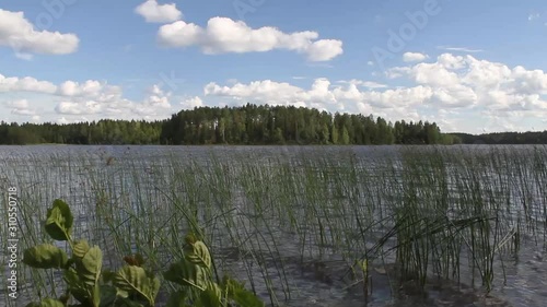  Finnish lake in summer with clouds in the sky