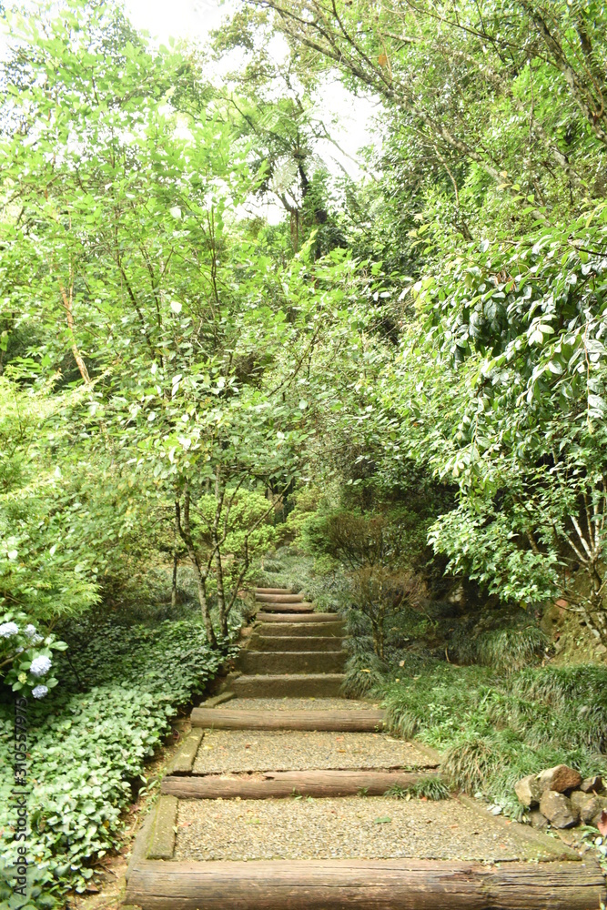path in garden path in garden