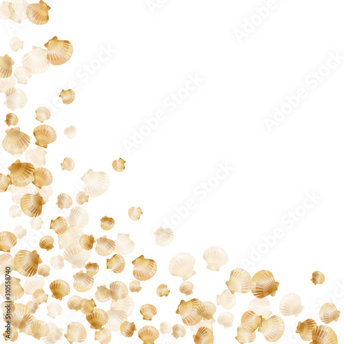 Gold seashells vector background, golden pearl bivalved mollusks. 