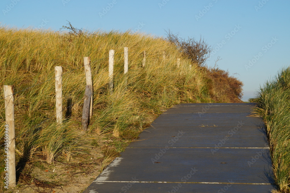 Fototapeta premium walkway in the dunes with fence