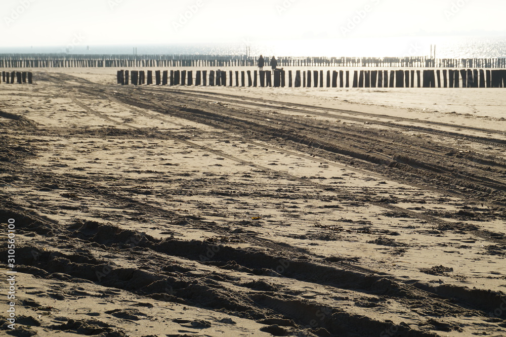 beach in winter