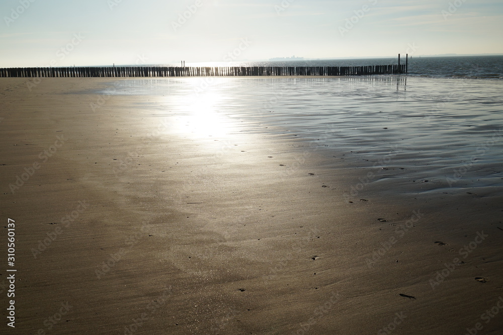 Fototapeta premium beach