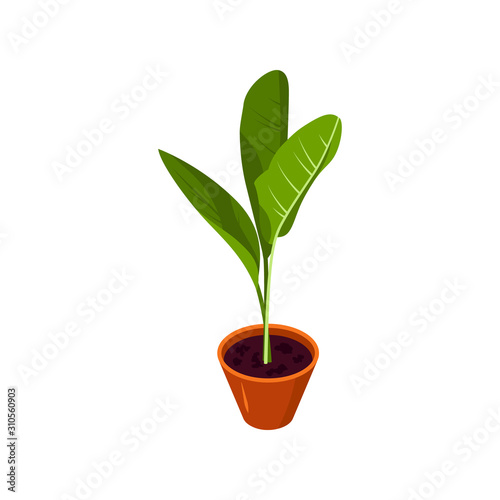 Isometric plant, vector icon in flat style