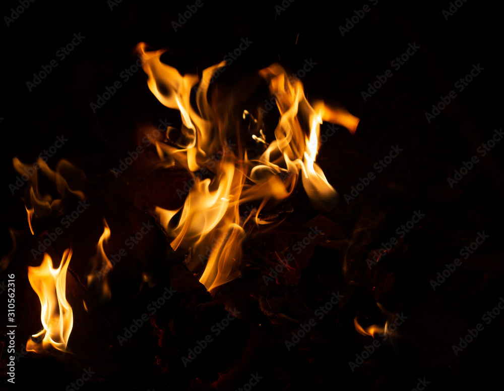 Fototapeta premium Fire flame caused by burning of wood on a black background