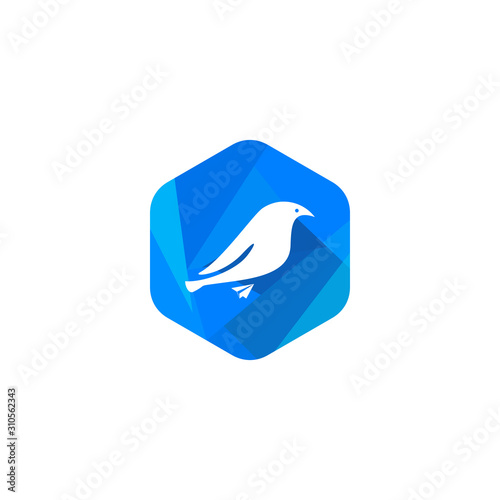 Canary mail