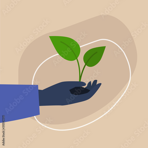 Go green, dark-skinned hand holding a plant sprout, sustainability and responsibility, eco friendly behaviour