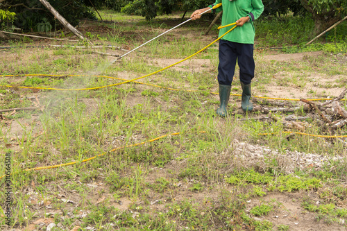 Spraying herbicide