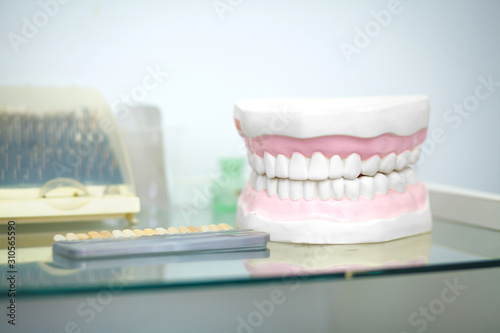 Dental jaw model in dentist's office