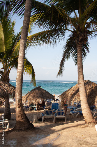 Dominican Republic Caribbean Coastline tropical beach photo