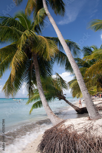 Dominican Republic Caribbean Coastline tropical beach photo