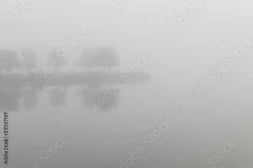 Tree lined peninsula reflections in lake in fog © Martina